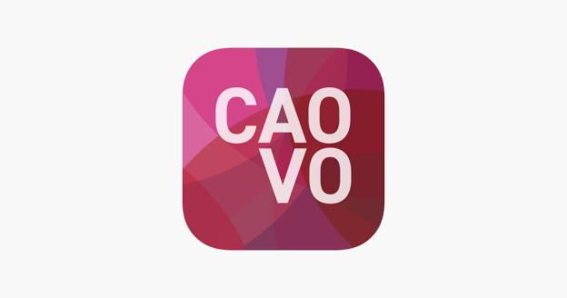 Cursus ´CAO VO - studiedag´